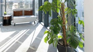 Une pièce moderne avec de grandes fenêtres, une plante en pot, un banc et un lampadaire.