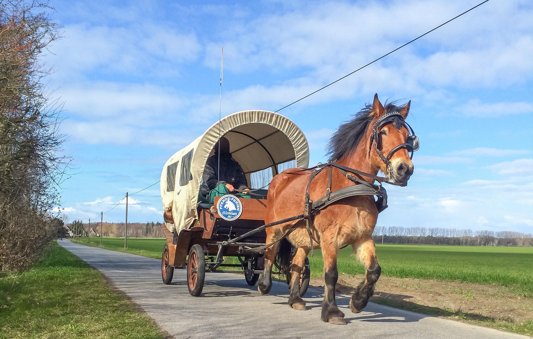 En hästdragen vagn på en asfalterad väg under en klar himmel.