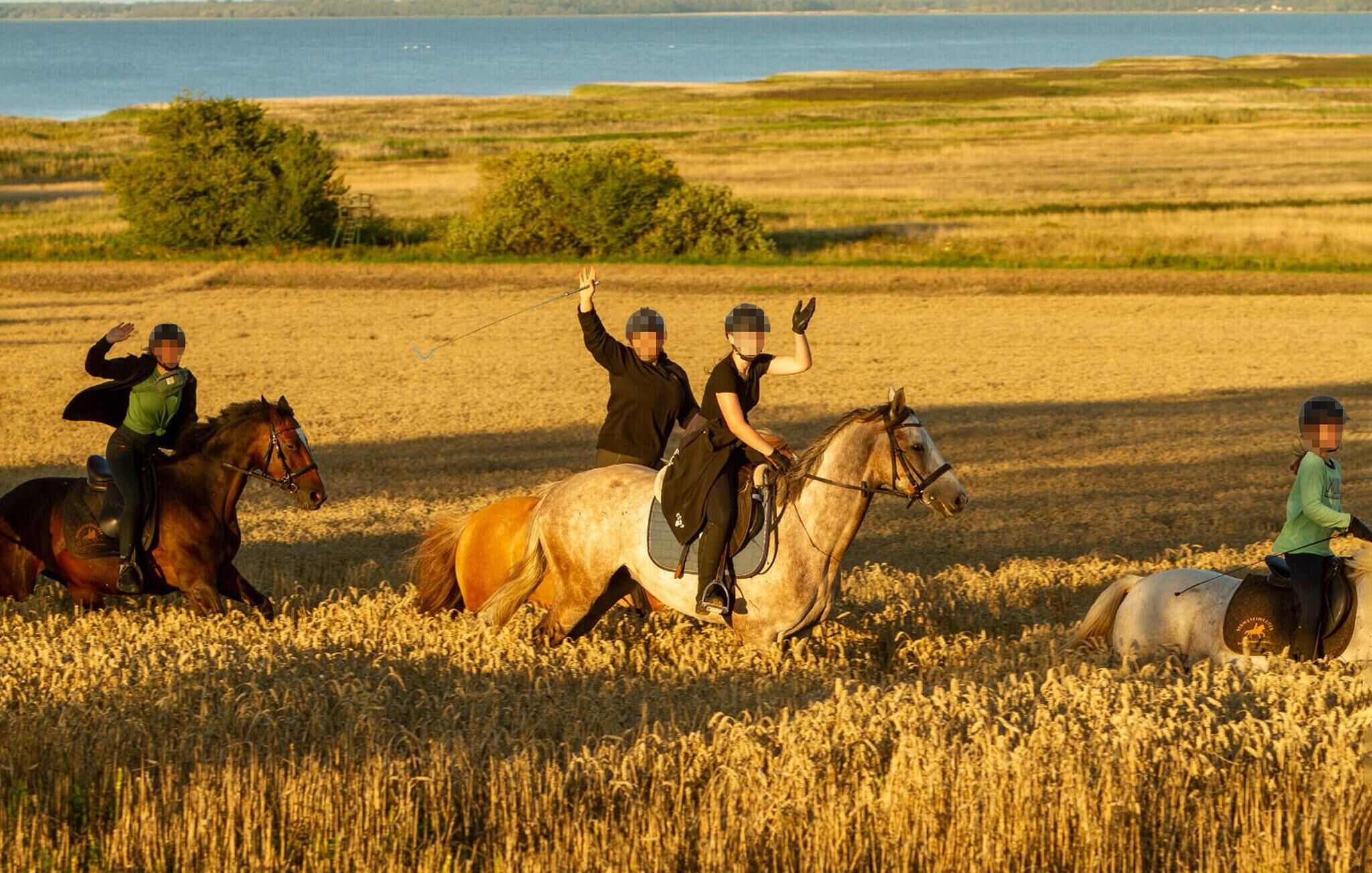 A group of people riding horses in a field with a body of water in the background.