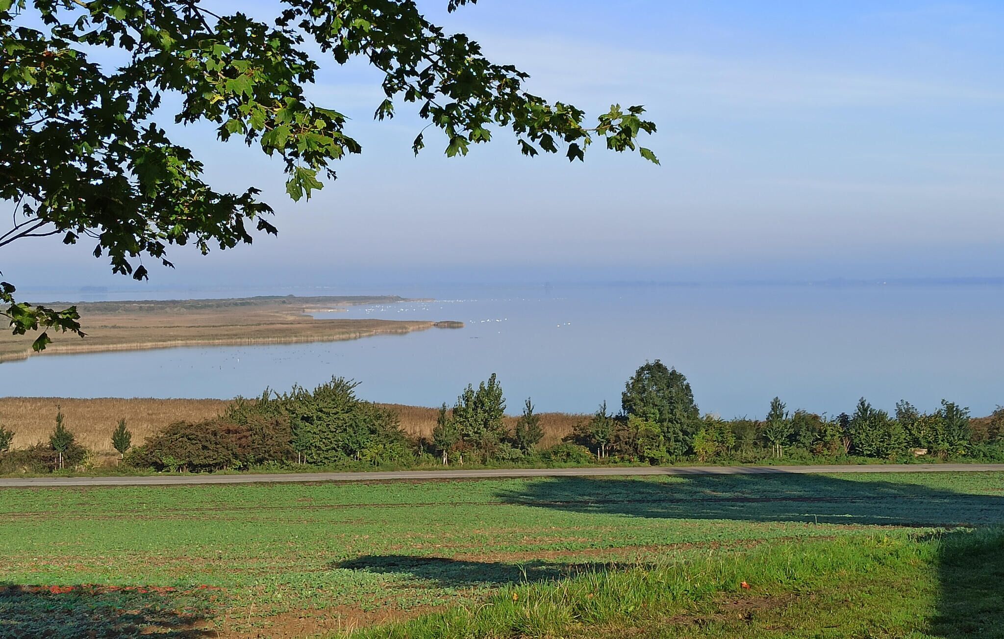 A coastal landscape with a road, fields, and trees.