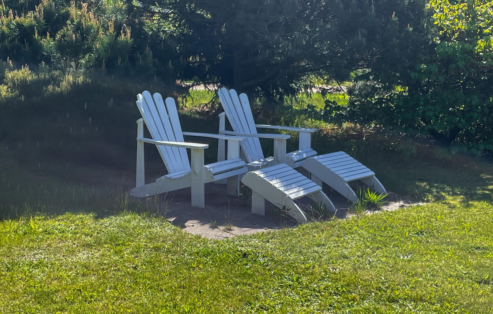 Deux chaises Adirondack blanches sont placées au bord d’un étang, avec une végétation luxuriante en arrière-plan.
