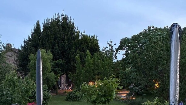 A poolside area with lounge chairs and umbrellas, a small tree, and a stone wall in the background. - Cascina Lungamerenda - Relax in Monferrato (Costigliole d'Asti)