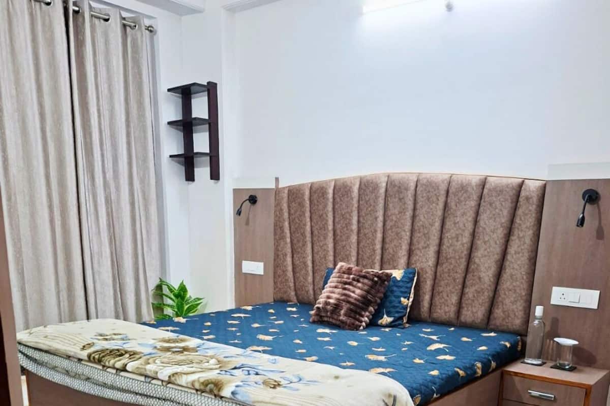 A bedroom with a bed, bedside table, lamp, and a small plant.