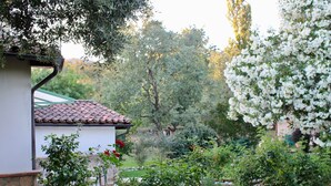 Un jardín con un edificio blanco, un muro de piedra y diversas plantas.