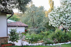 A garden with a white building, a stone wall, and various plants.