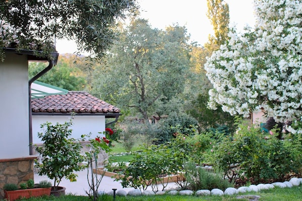 Un jardín con un edificio blanco, un muro de piedra y diversas plantas.