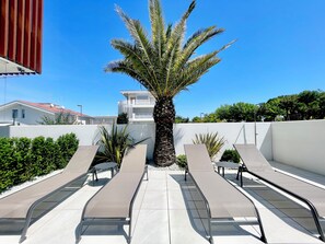 Ein Poolbereich auf dem Dach mit Liegestühlen, einer Palme und einem weißen Gebäude im Hintergrund.