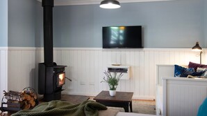 Ein Wohnzimmer mit Kaminofen, Wandfernseher, Blumentopf und einer Couch mit Kissen.