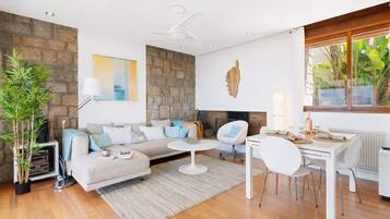 TV, fireplace, DVD player