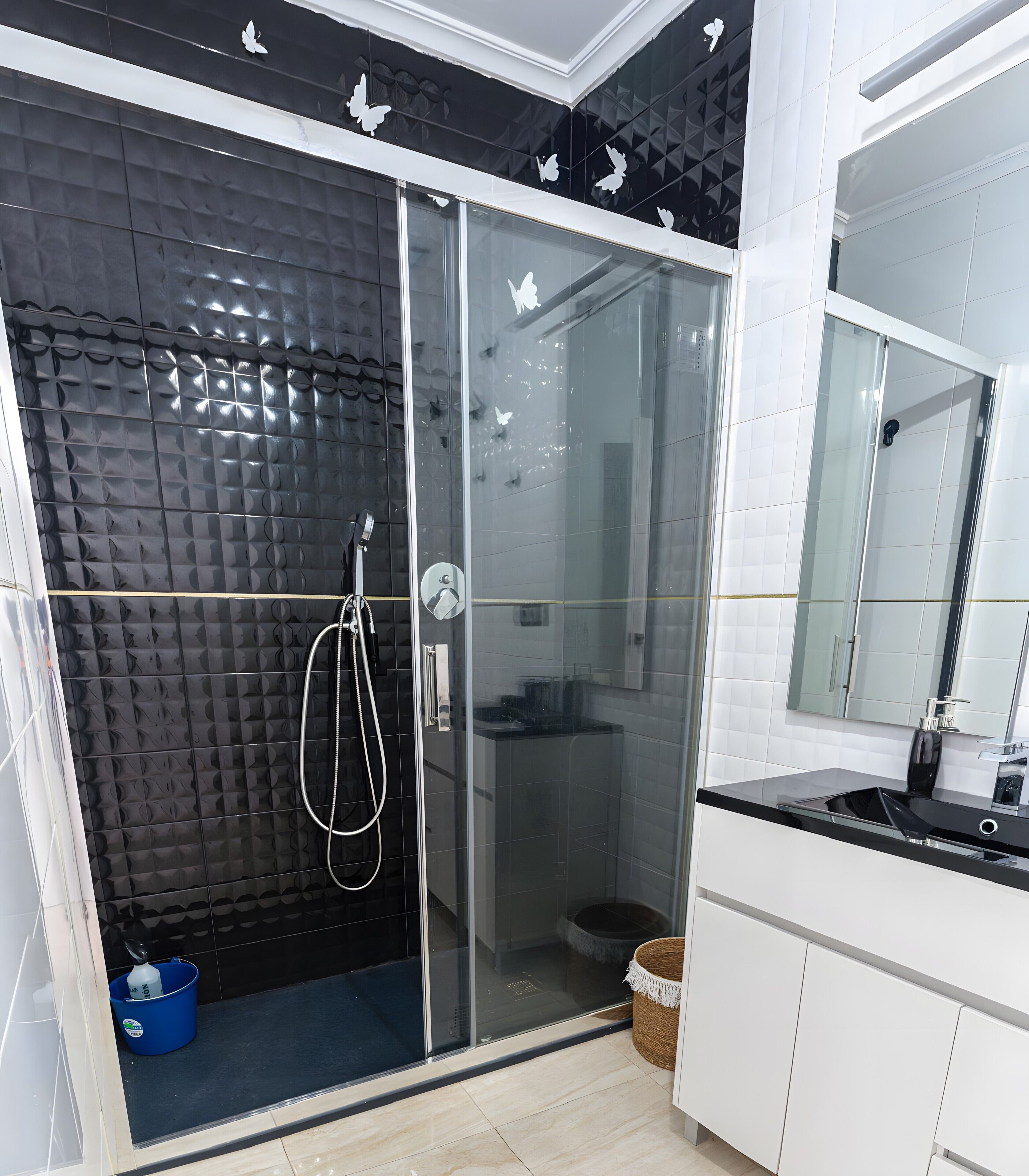 Shower, hair dryer, towels