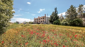 A house with a balcony, surrounded by a field of red poppies, with trees and a clear sky in the background. - Konstantina`s House by Rentals Pro - Afytos Halkidiki (Afytos)