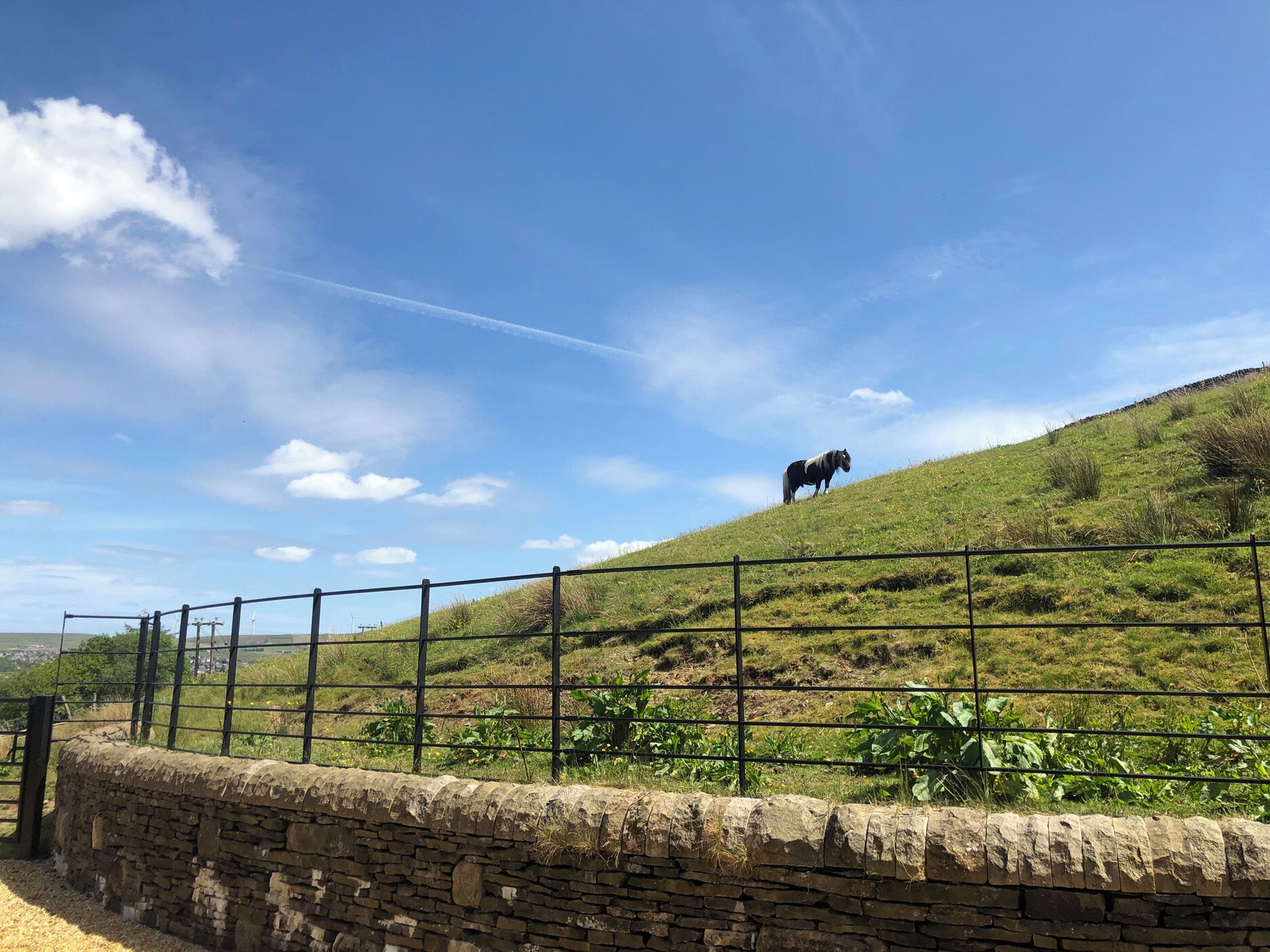 A stone wall, a metal fence, and a horse on a grassy hill.