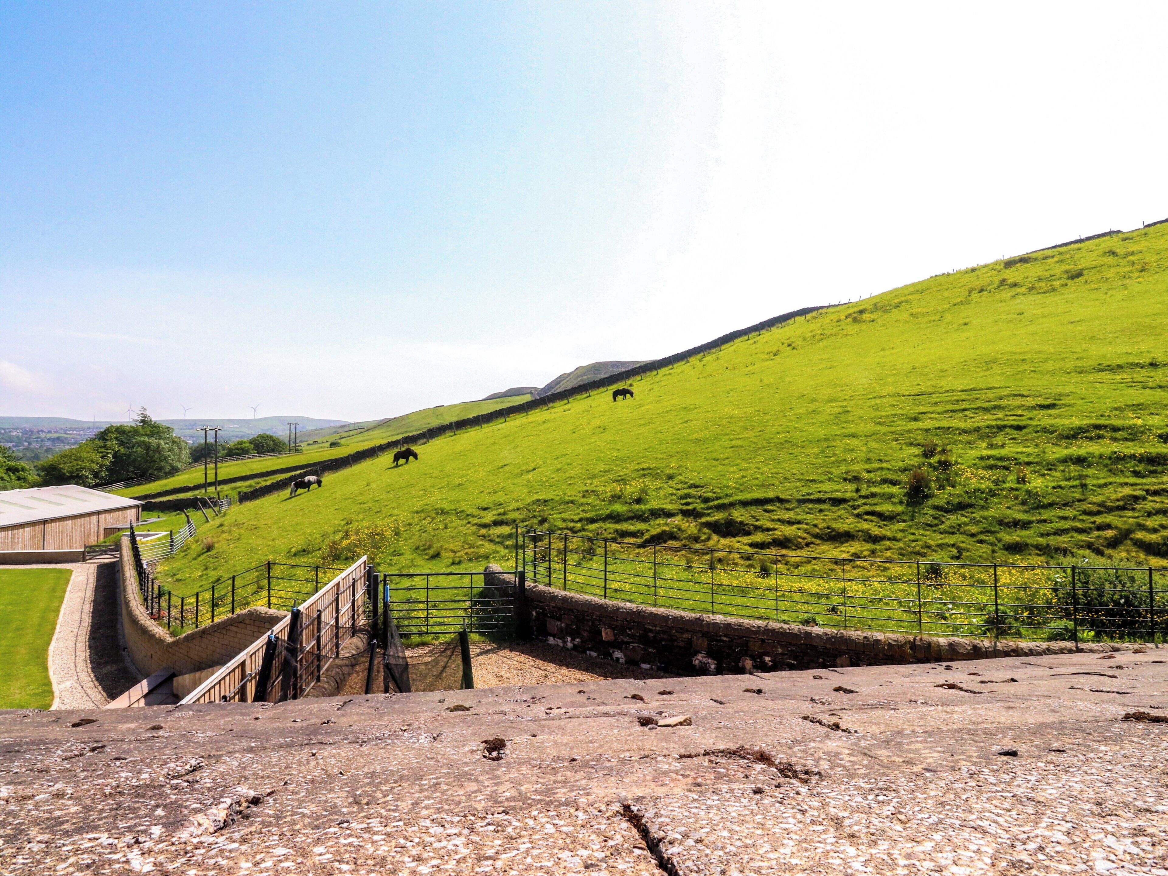 A grassy hill with a stone structure in the foreground and a building in the background.