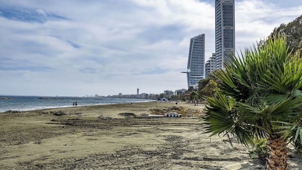 Ein Strand mit einer Palme, einem sandigen Ufer und hohen Gebäuden im Hintergrund.