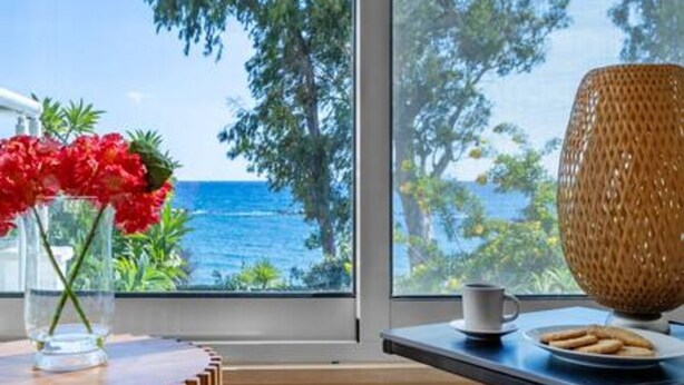 Ein Zimmer mit einem großen Fenster, einer Vase mit roten Blumen, einer Tasse und einem Teller mit Keksen.