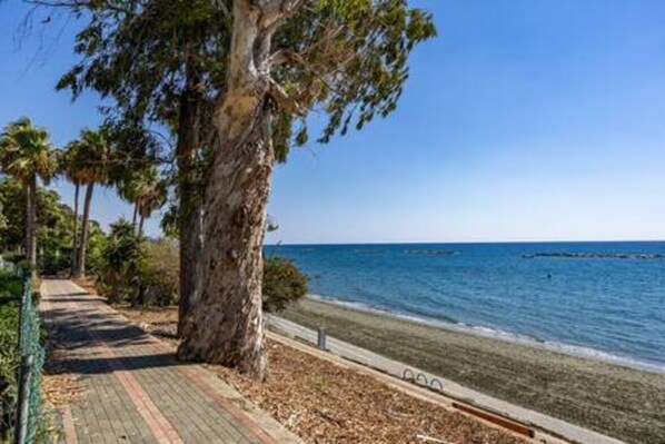 A coastal walkway with a large tree, a clear blue sky, and the ocean. - Berengaria Court - Sea Views 2bdr Apartment (Agios Tychon)