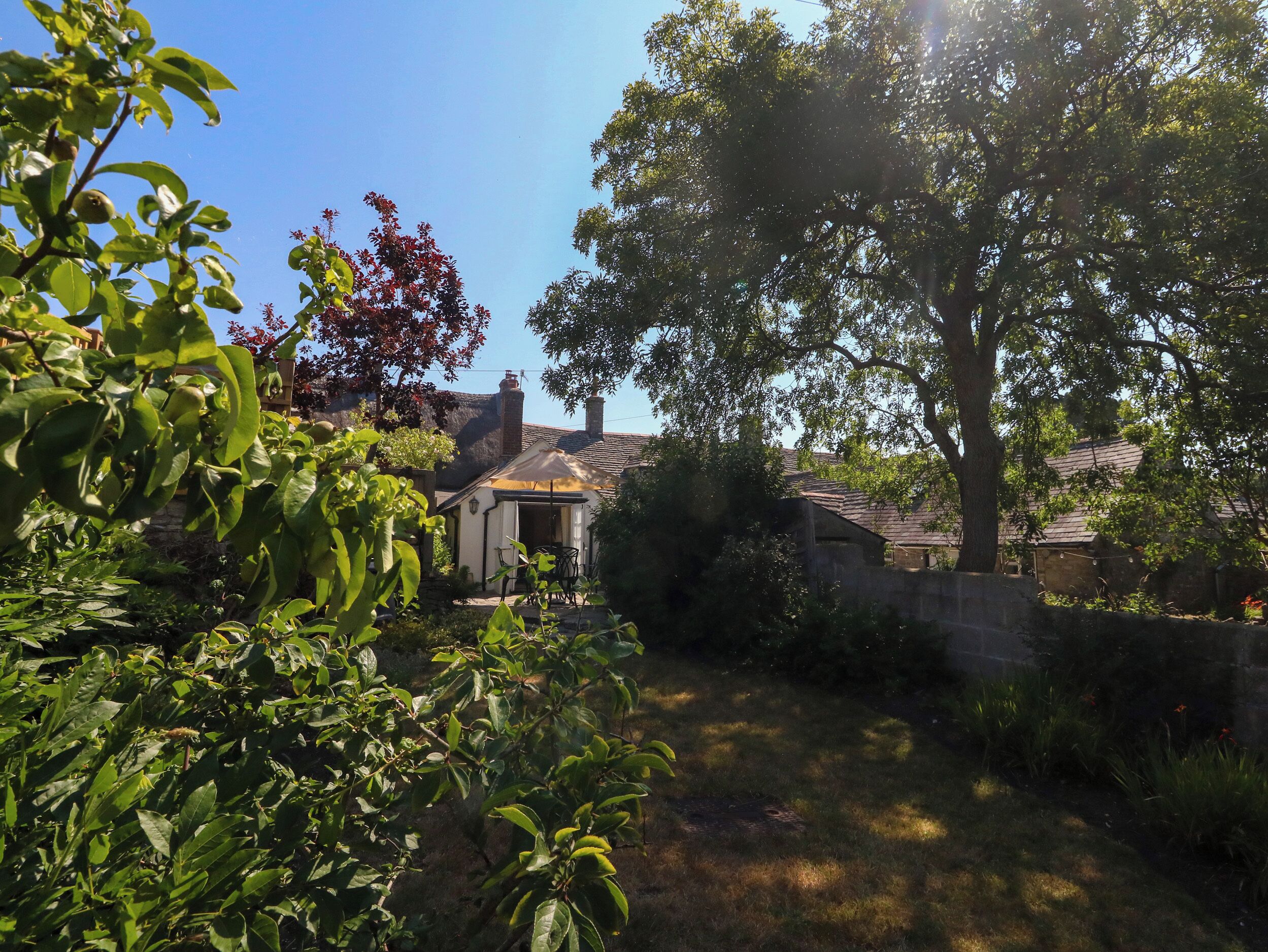 Un jardín con una casa, un árbol y un cielo despejado.