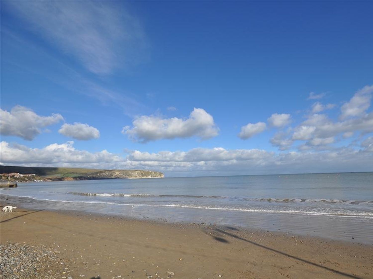 A beach with a dog, clear sky, and distant land.