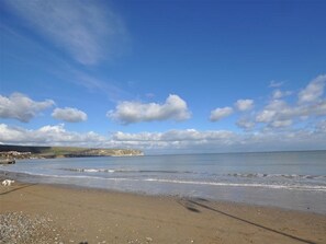 Ein Strand mit Hund, blauem Himmel und weiter Küste.