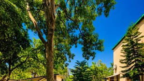 A pathway leading to a building with a curved metal gate, surrounded by lush greenery and trees. - Wildline Gold Resort (Ramnagar)