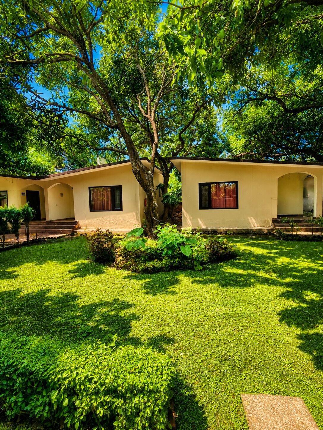 A building with a tree in front, a well-maintained lawn, and a clear blue sky.
