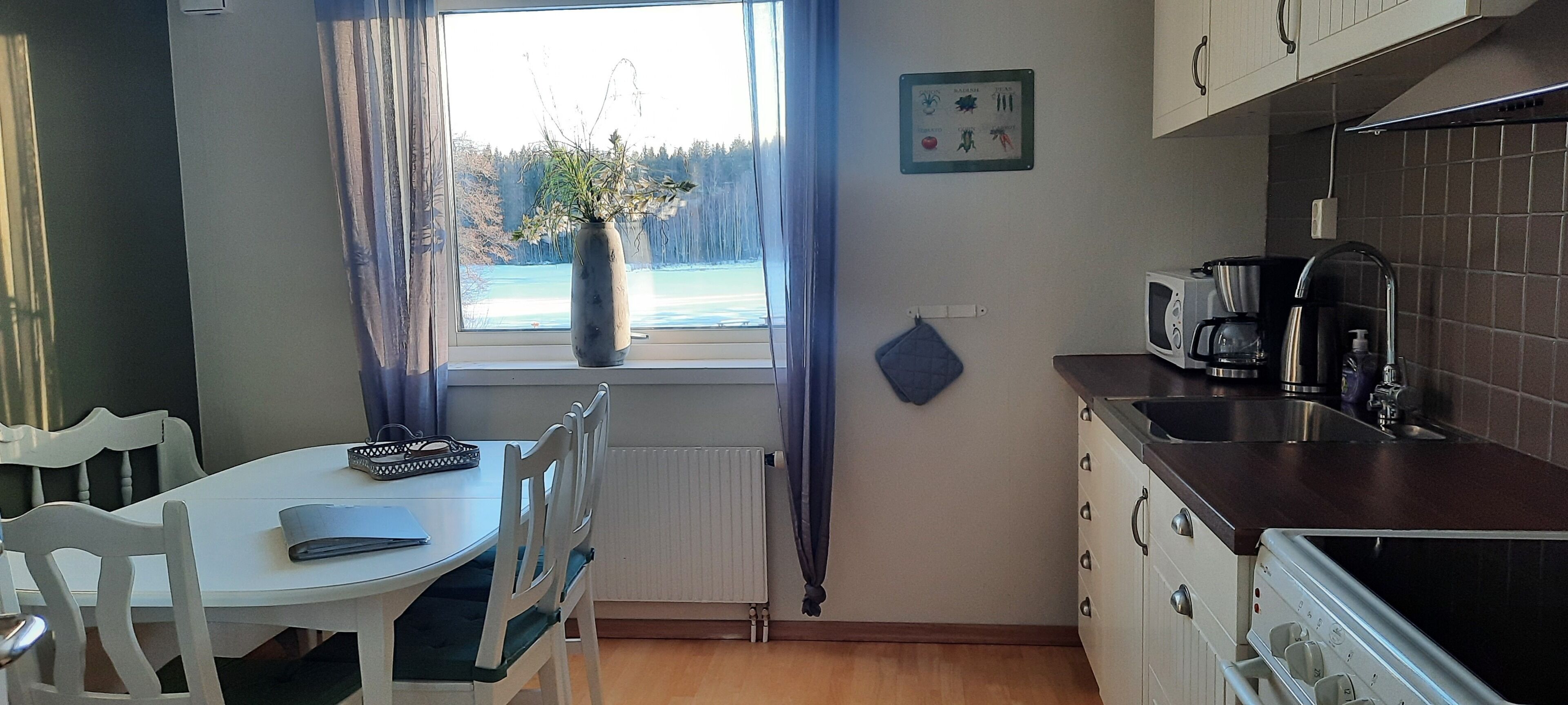 Apartamento, para não fumantes, vista para o lago | Cozinha privada
