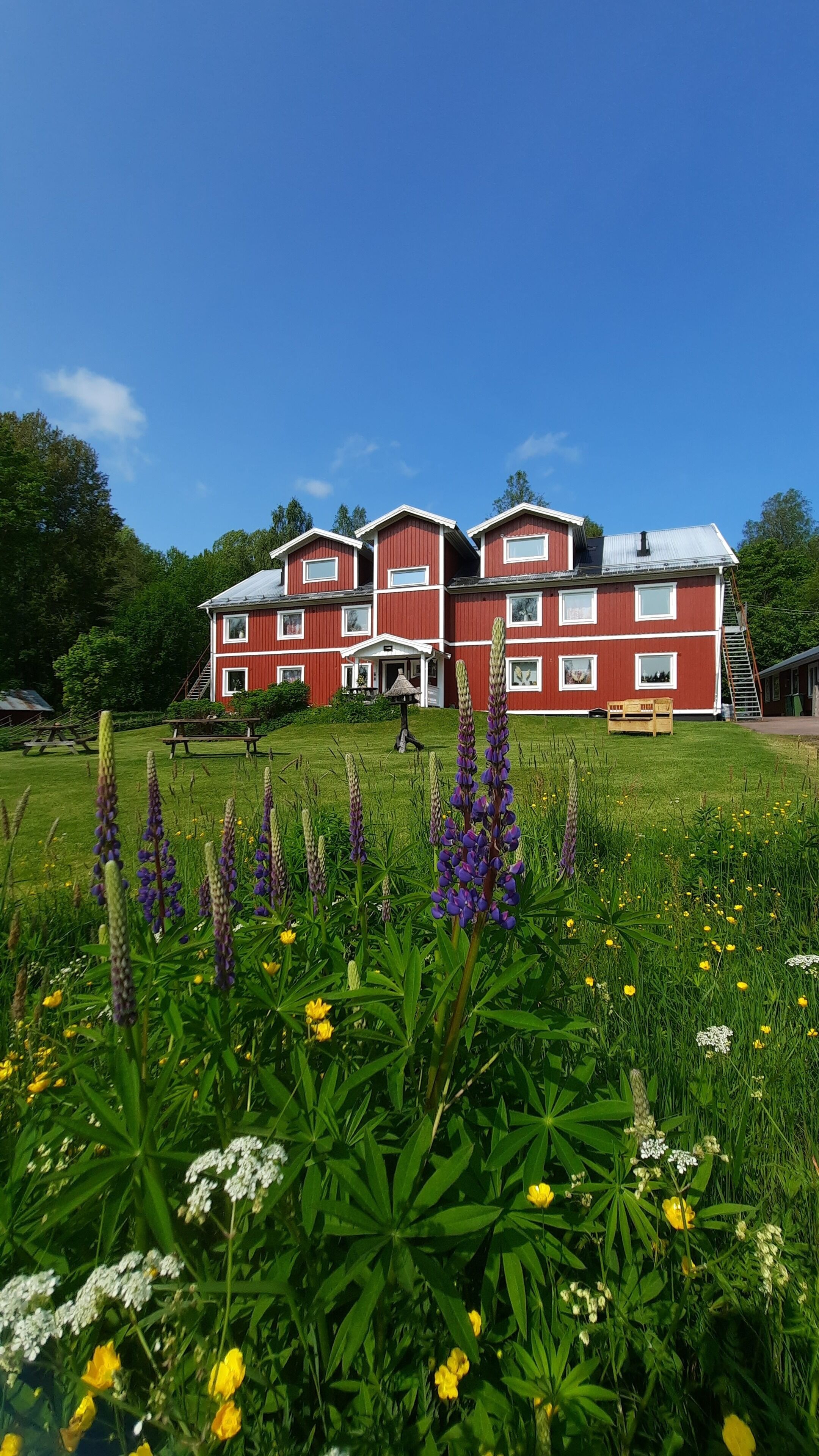 Boendeområde