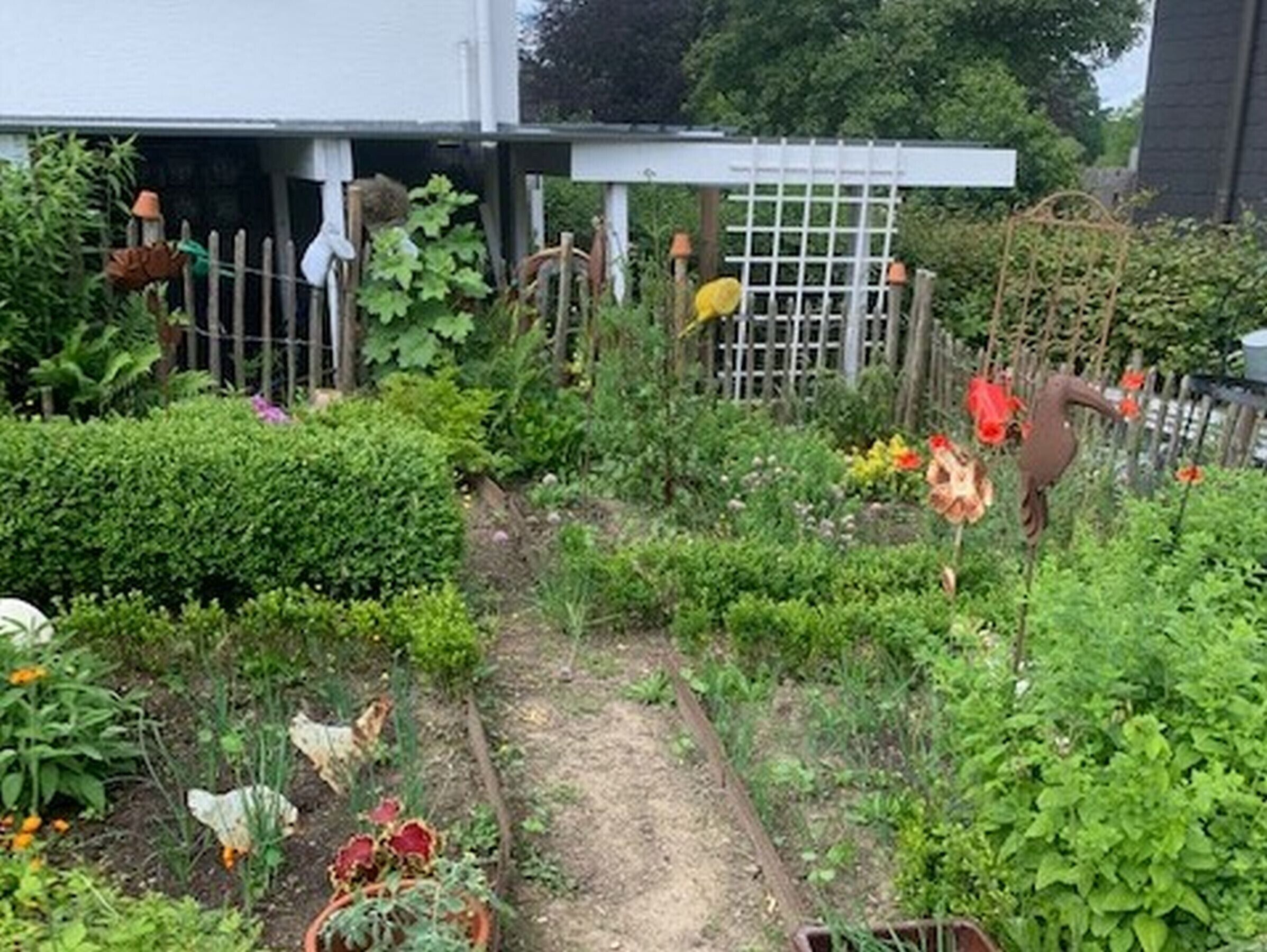 Un jardín con diversas plantas y una valla de madera.