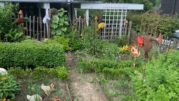 Un jardín con diversas plantas y una valla de madera.