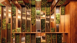 Un interno moderno con pannelli in legno, una panca centrale e pareti verdi verticali.
