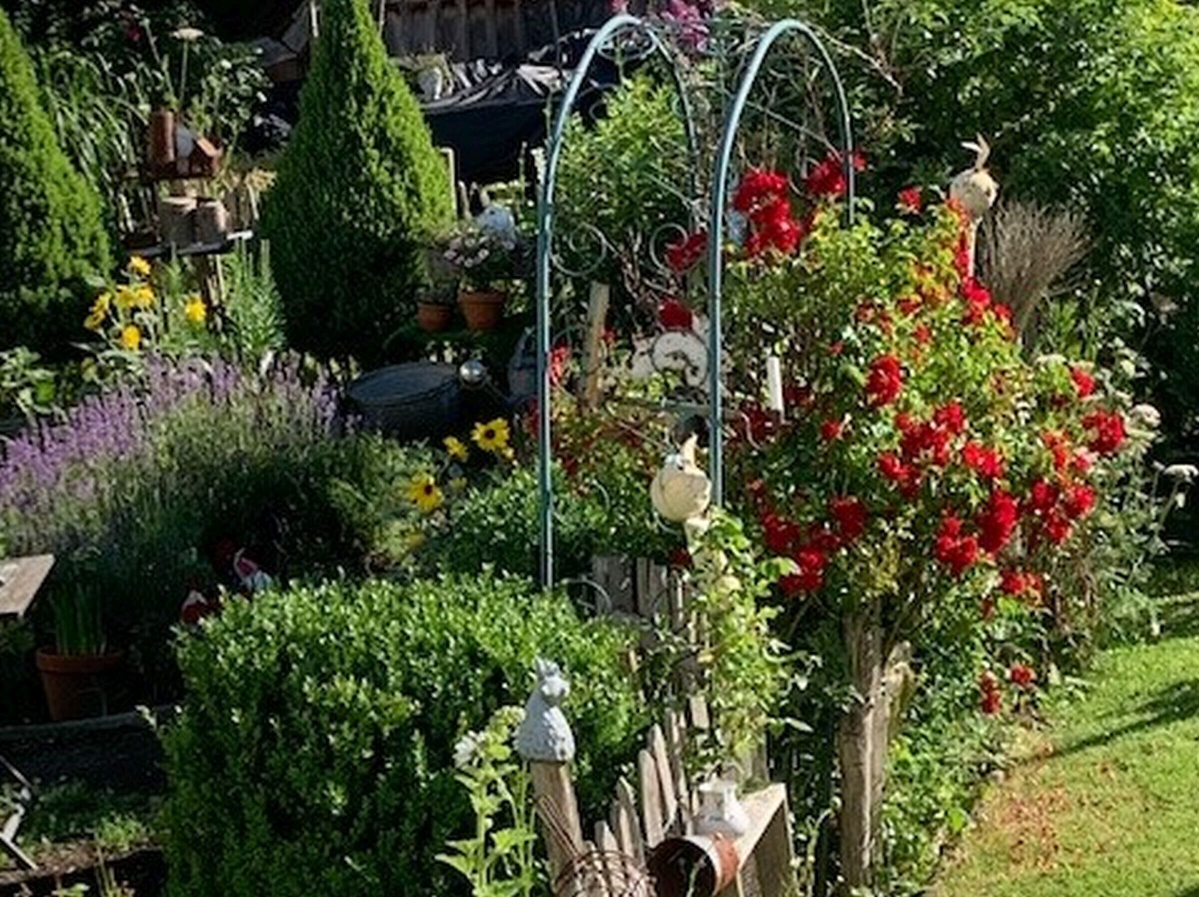 Un jardín con diversas plantas y una estructura de metal.