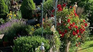 Un jardín con diversas plantas y una estructura de metal.