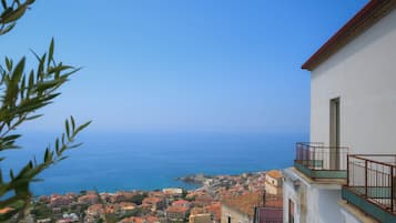 Vista dalla struttura
