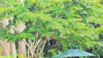 Shared Dormitory, Women only, Mountainside | Outdoor dining