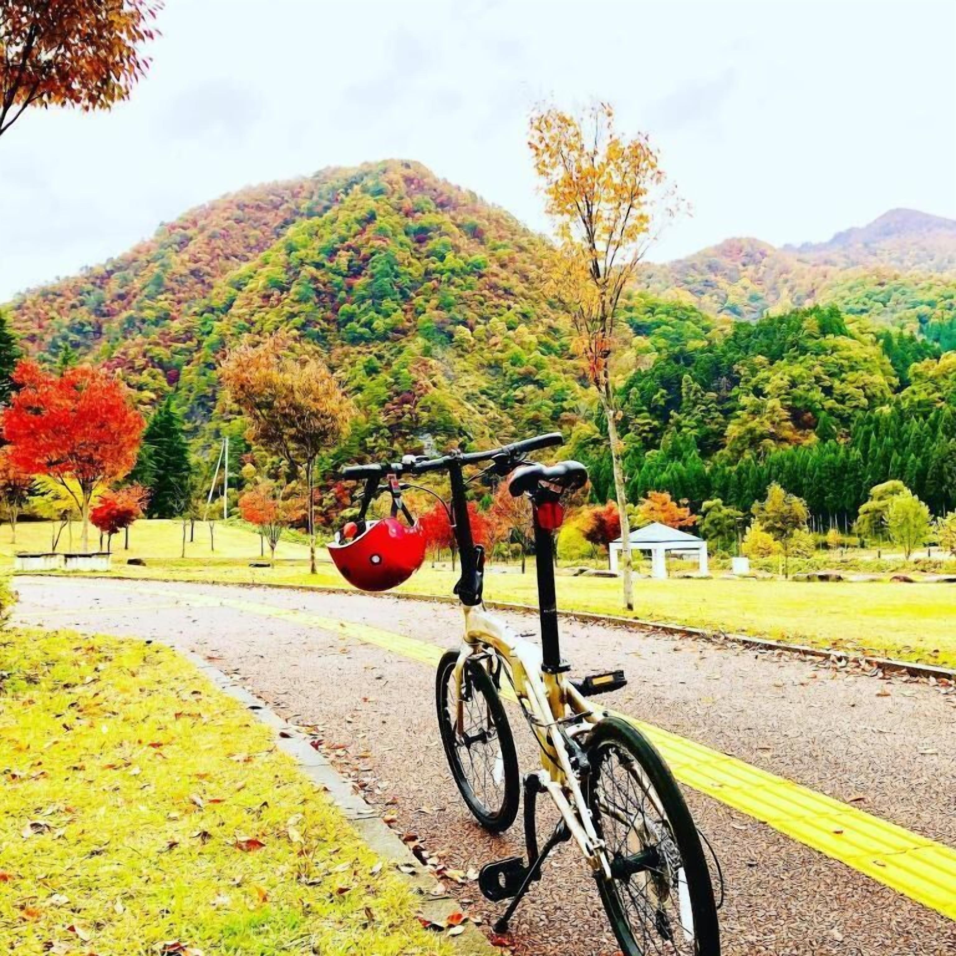 Una bicicleta aparcada en un camino con una montaña al fondo.