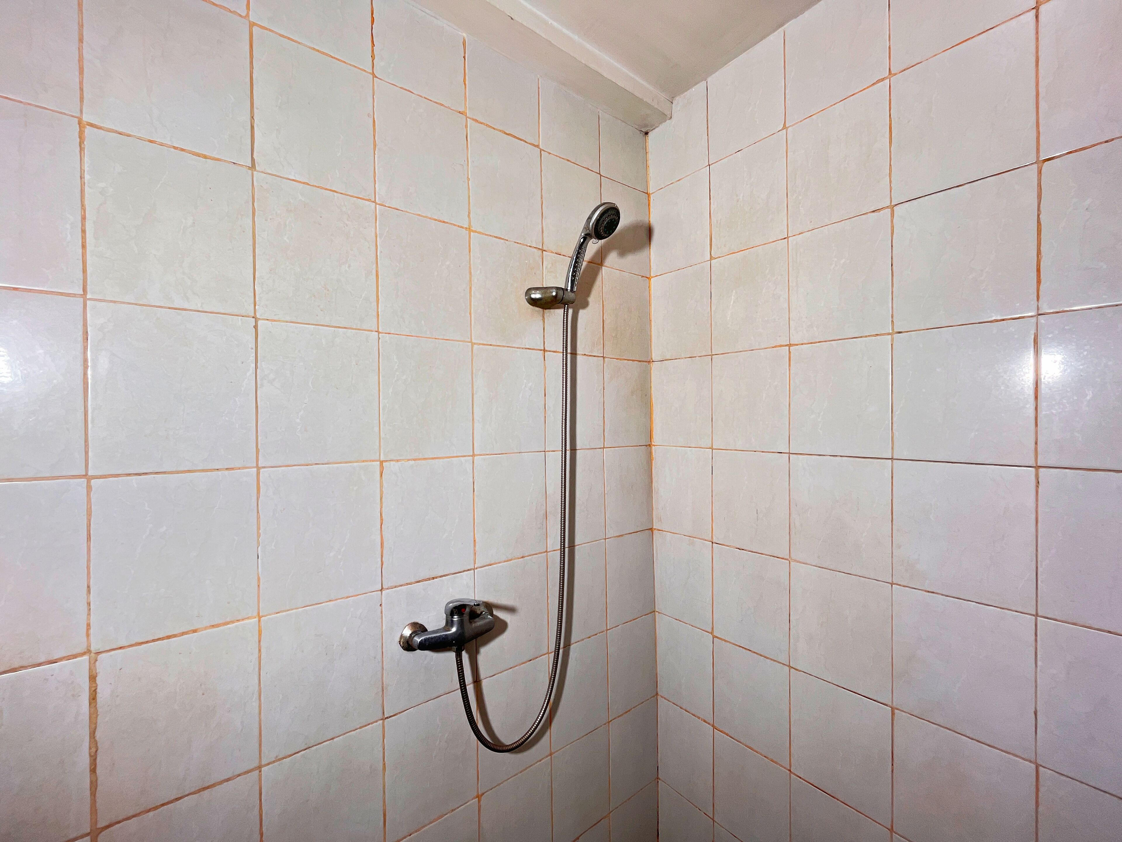 A shower with a handheld showerhead and a fixed wall-mounted faucet.