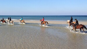 Ein Strand mit Personen, die am Ufer auf Pferden reiten.