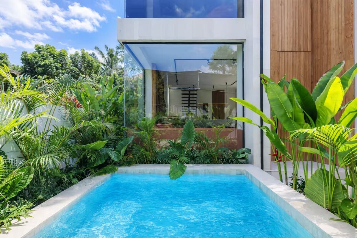 A modern house with a swimming pool surrounded by lush greenery.
