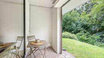 A room with a glass door leading to a garden, a table with chairs, and a small rug on the floor.