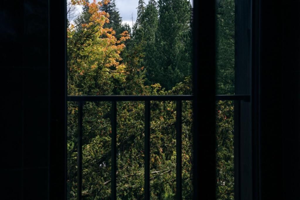 A view through a window with a metal railing, featuring dense foliage and trees.