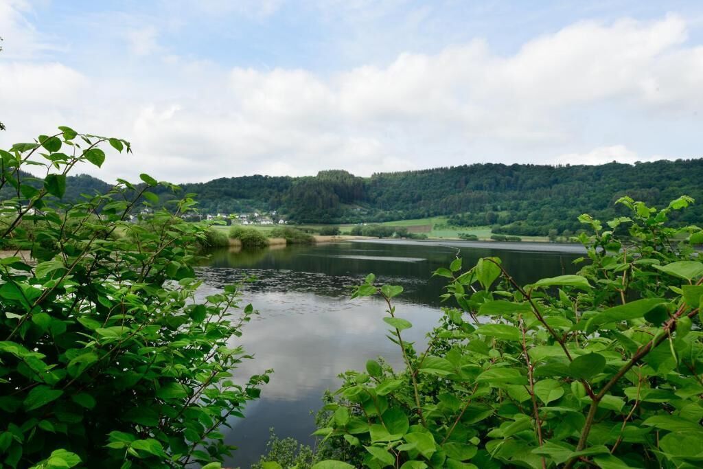 A river with surrounding greenery and hills in the background.