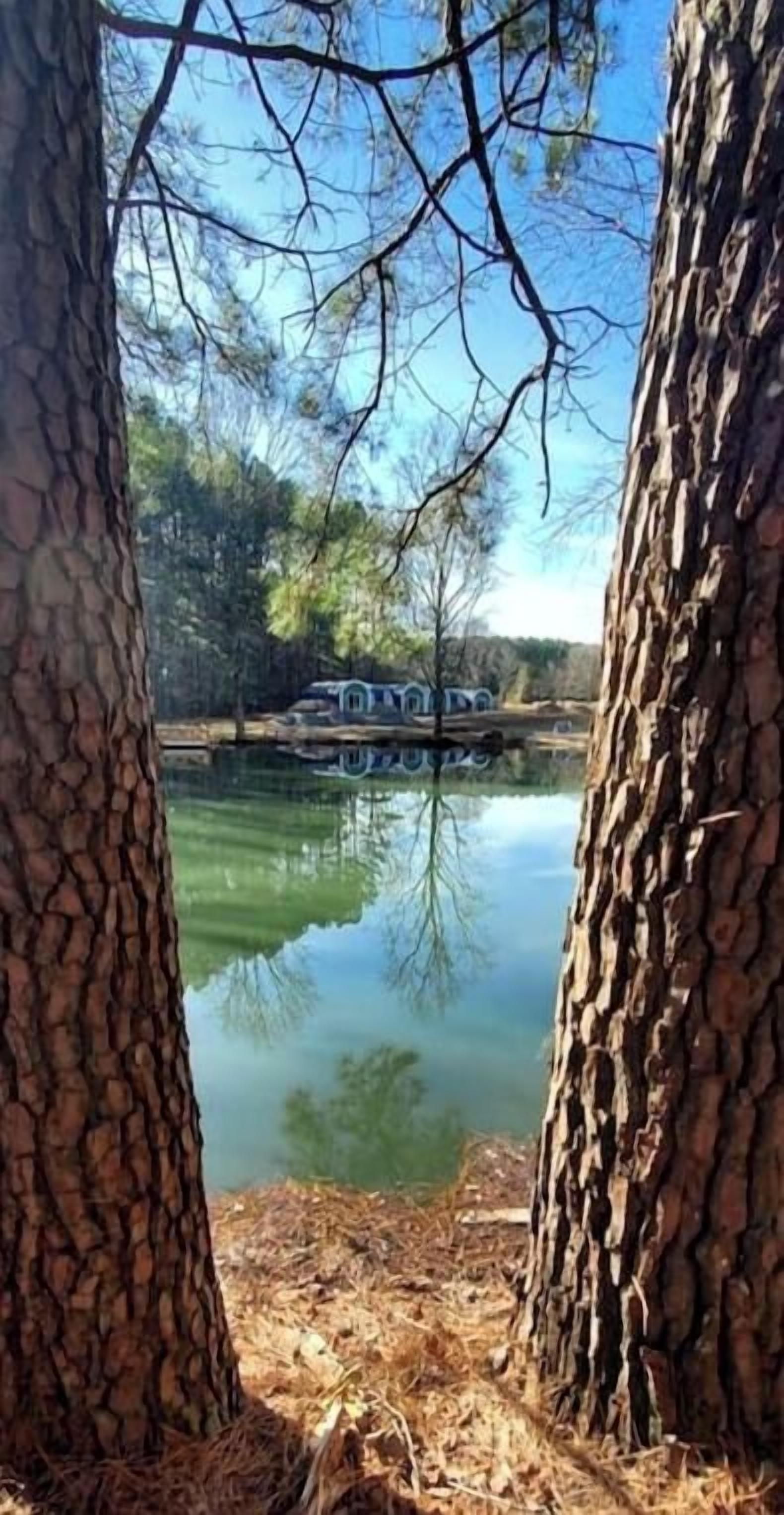Una cabaña con vista a un lago, rodeada de árboles.