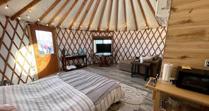 Luxury Yurt makes for a Brilliant Texan Retreat