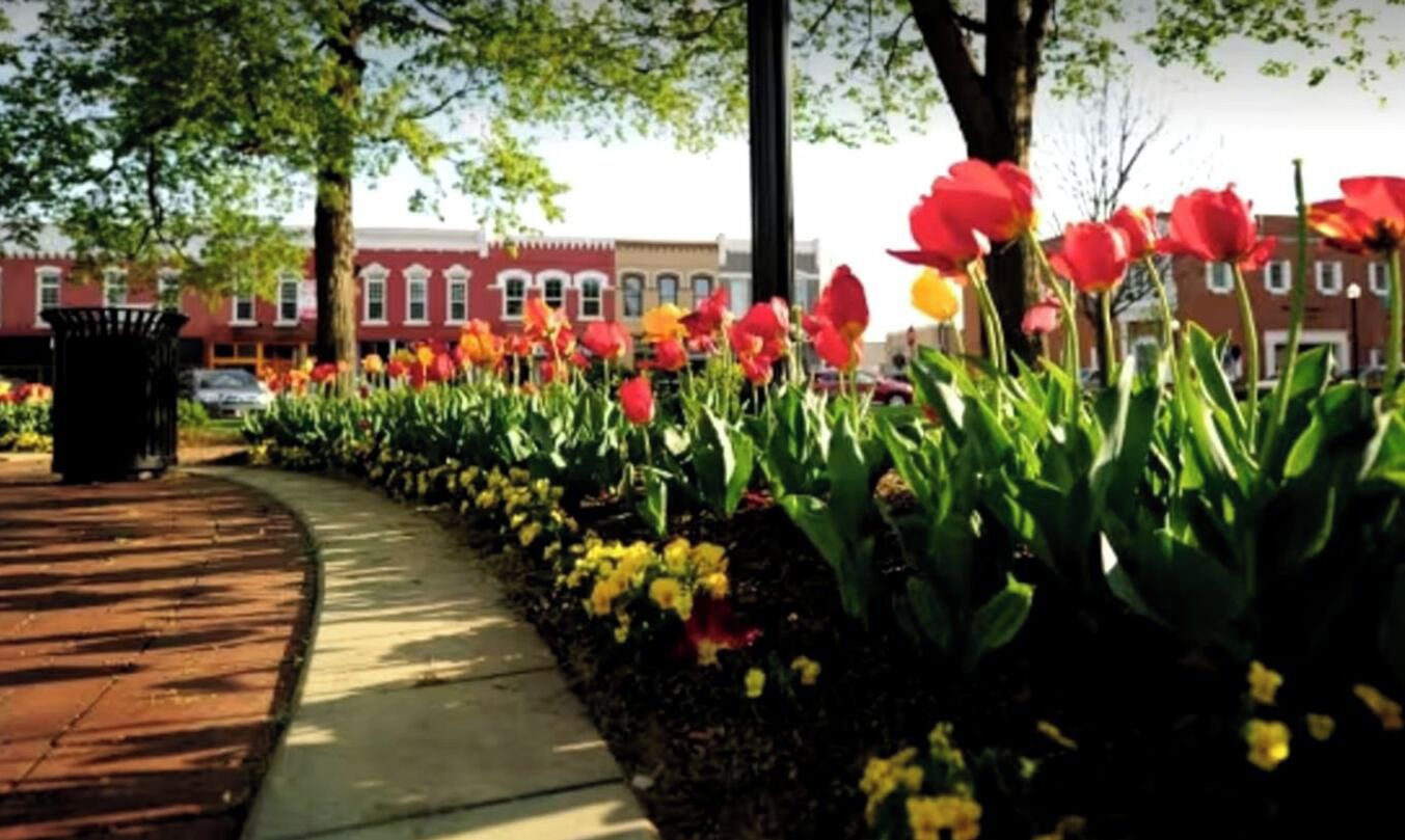 Ein Bürgersteig, gesäumt von leuchtenden Tulpen und Narzissen, ein Ziegelweg und im Hintergrund ein Gebäude mit roten Backsteinfassaden.