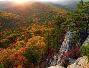 Un paysage montagneux caractérisé par une forêt dense et un terrain rocheux.