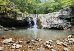 Une cascade naturelle située dans une zone boisée, avec de l’eau claire et des rochers tout autour.
