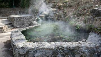 A stone bath surrounded by steps and vegetation.