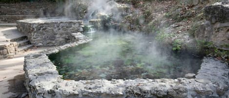 A stone bath surrounded by steps and vegetation.