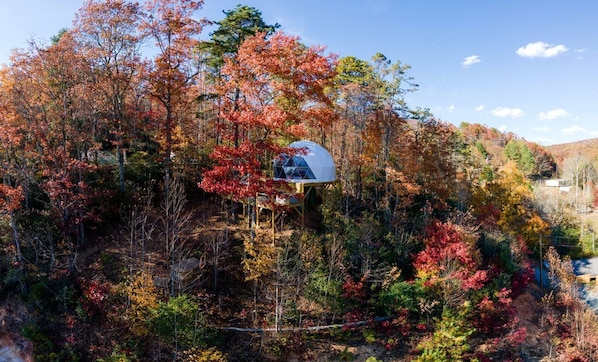 A dome-shaped structure surrounded by autumn foliage.