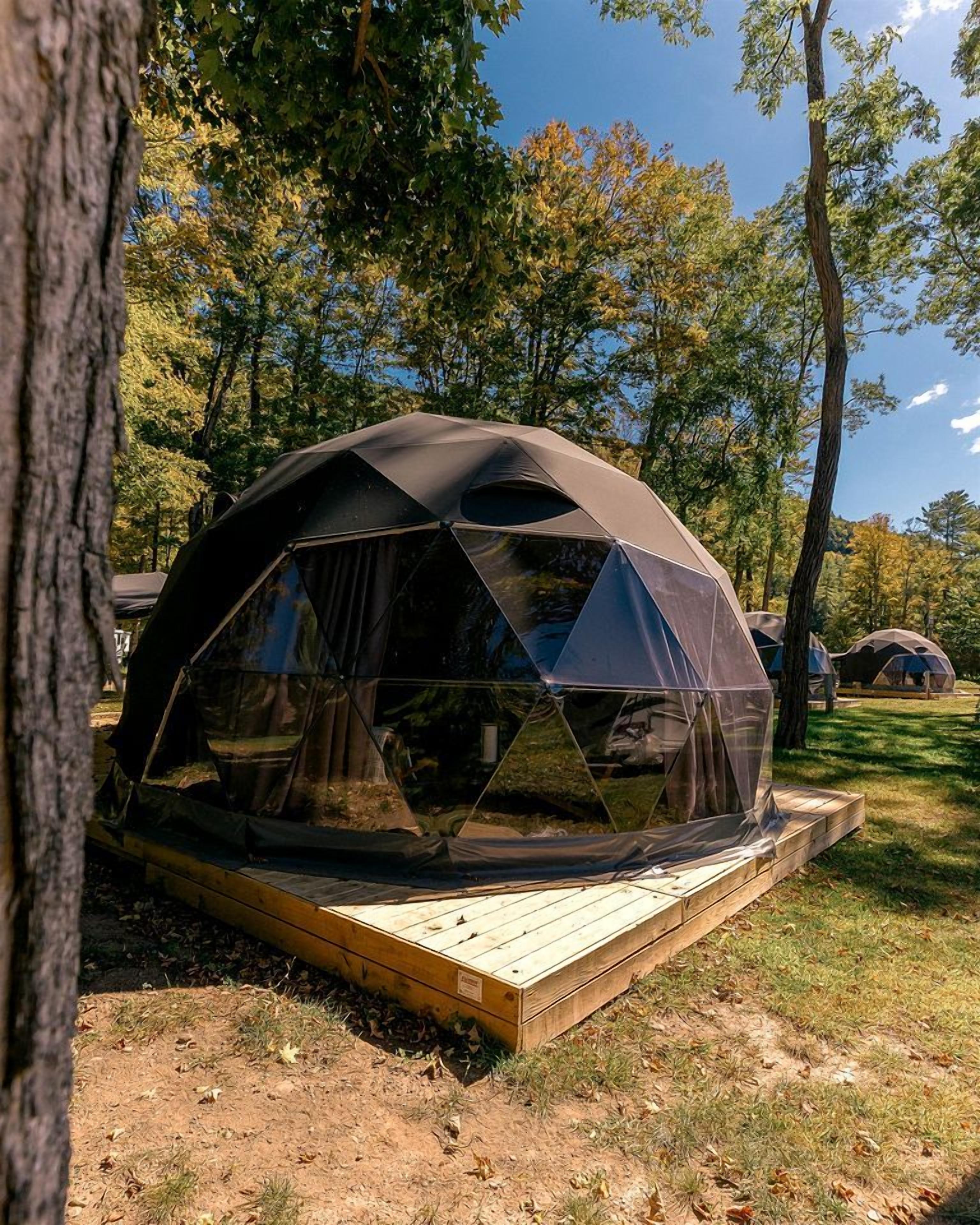 A geodesic dome tent with a wooden platform, surrounded by trees and a clear sky.
